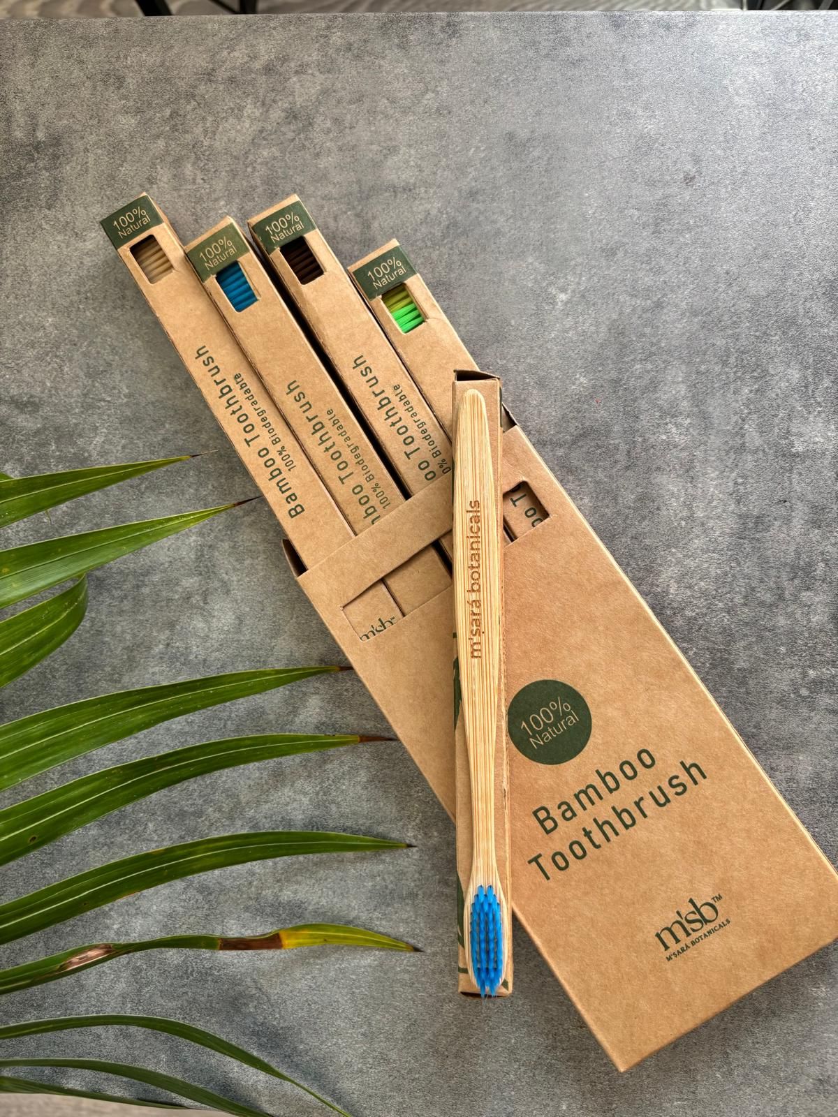 Bamboo Toothbrush Multipack