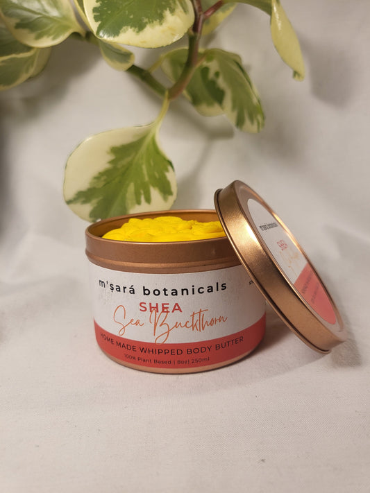 Shea Sea Buckthorn Whipped Body Butter